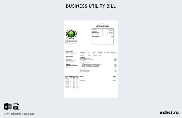 скачать цифровую загрузку шаблона счета за коммунальные услуги Belize Electricit